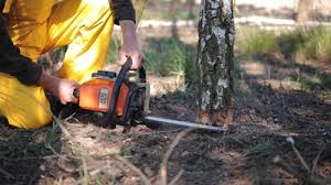 Best Weed Control  in Broadway, VA